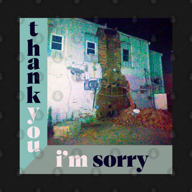 Thank You I’m Sorry by Noah Monroe