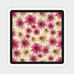 Sweet Little Pink Daisy Magnet