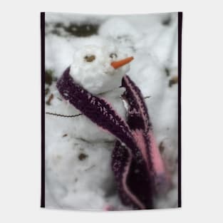 snowman in a pink scarf Tapestry