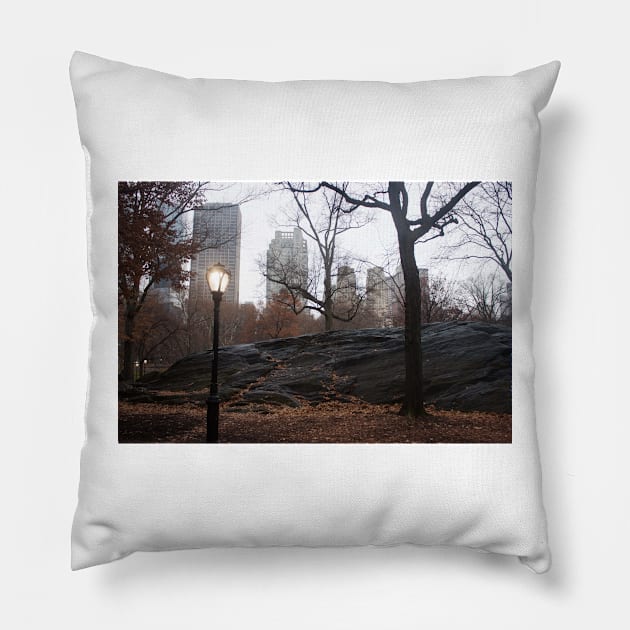 December in Central Park Pillow by Jacquelie