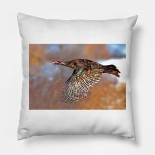 Turkey Flying - Wild Turkey, Ottawa, Canada Pillow