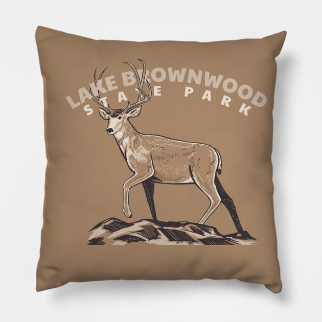 Lake Brownwood State Park Texas Roaming Deer Pillow by Go With Tammy