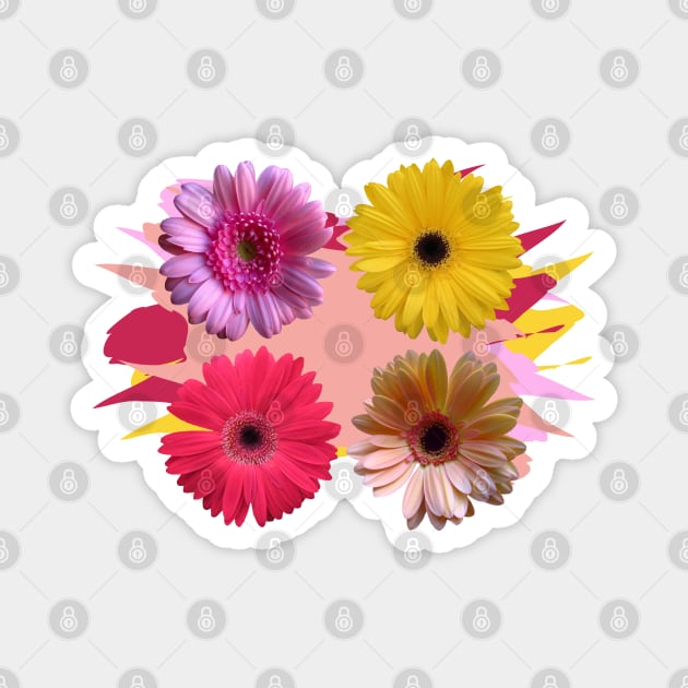 gerbera flowers, daisies, gerberas, daisy, bloom Magnet by rh_naturestyles