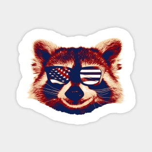 Raccool with  American Flag USA - Glasses Magnet