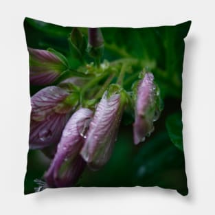 Purple broom Pillow