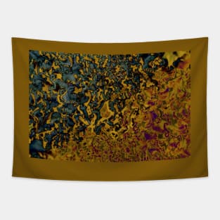 Colorful Lichen Tapestry