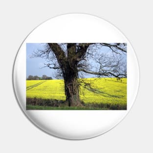 Fields of gold Pin