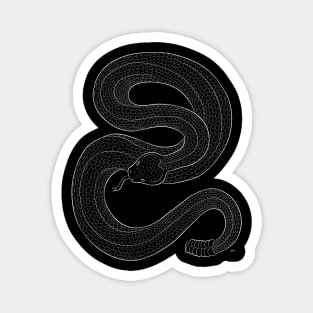 Rattlesnake Drawing (light version) Magnet
