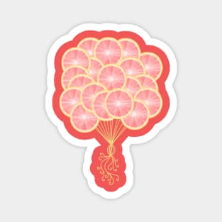 Pink Grapefruit Citrus Balloons Magnet