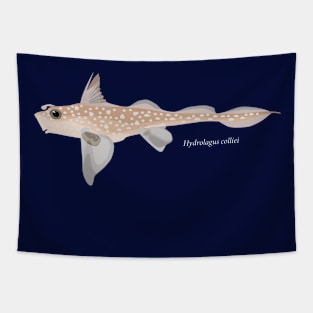 Spotted ratfish- Hydrolagus colliei Tapestry