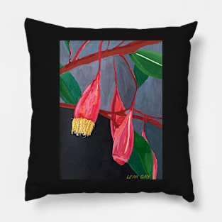 Pink Gumnut Flowers Pillow