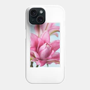 Lilium  Roselily Isabella  Double Oriental hybrid Lily Phone Case