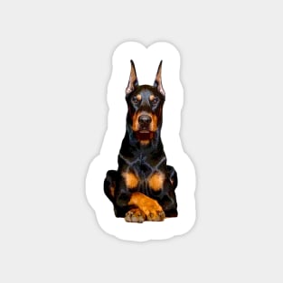 Doberman Guards Me - Dobermann Pinscher Dog Magnet