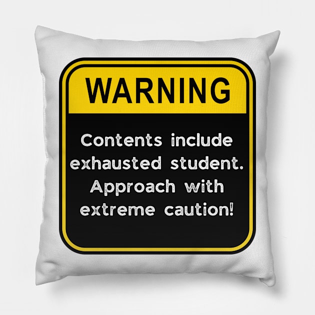 WARNING: Contents include exhausted Student! Pillow by Doodle and Things