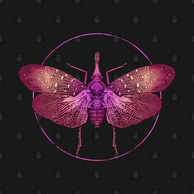 Lanternfly by Crude Casey