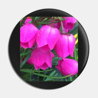 Petite Pink Bell Flowers Pin