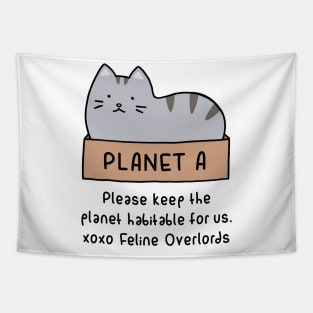 Gray Cat - Habitable Planet (White) Tapestry