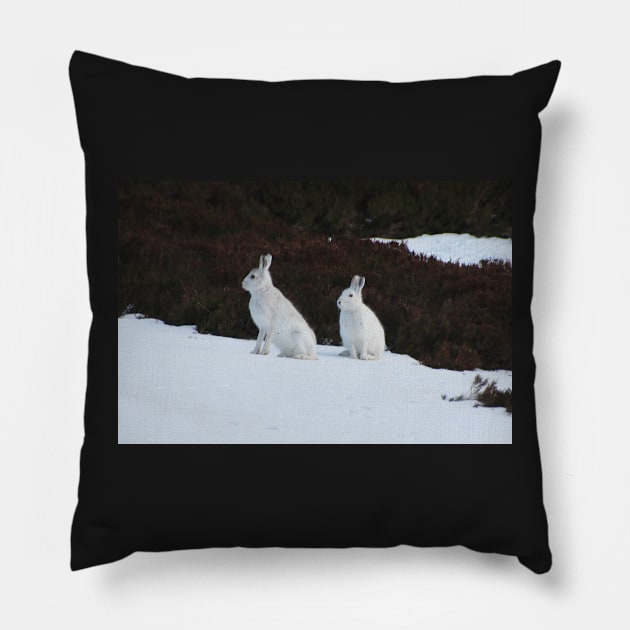 Winter coats Pillow by orcadia