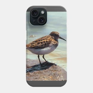 A Least Sandpiper Along a Shore Phone Case