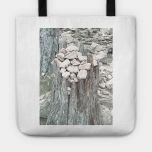 Pebbles on tree stump Tote