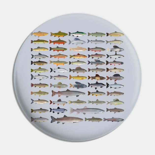 Trout, Char, Grayling, Hucho and Whitefish Group Pin by FishFolkArt