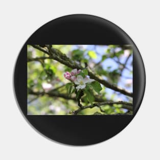 Apple Blossom Pin