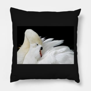 Glamour Pillow