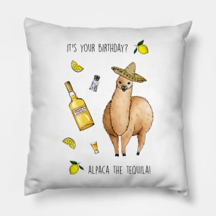 Alpaca the tequila Pillow