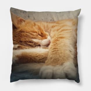 Orange kitten sleeping sweet Pillow