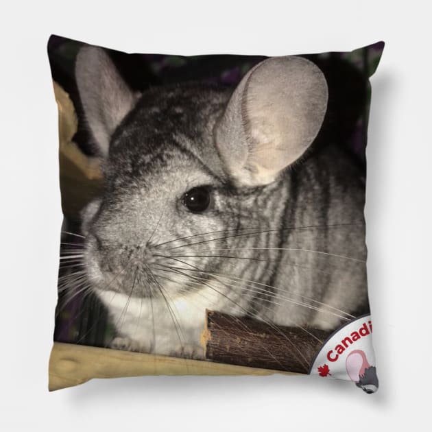 Chin Facts of Life Pillow by canchinrescue