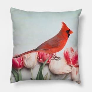 Northern Cardinal in the Tulip Flower Patch Pillow