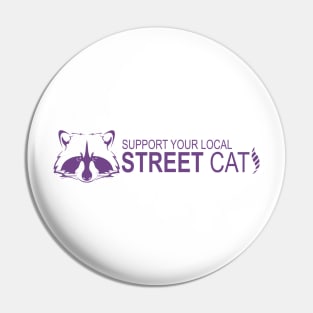 street cats_raccoon2 Pin