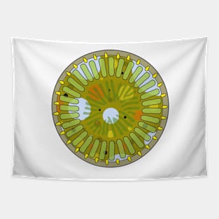 Diatom - Cyclotella meneghiniana (artwork) Tapestry