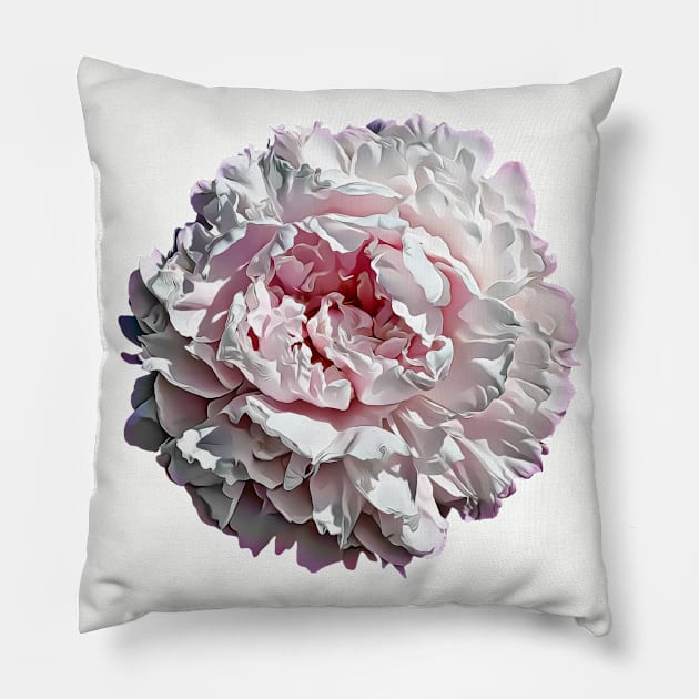 Beautiful Pink Peony Flower Pillow by Cartoon Cosmos