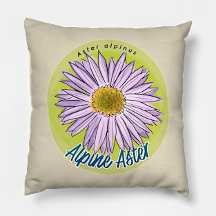 Alpine Aster Pillow