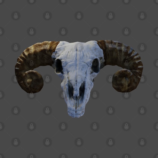 Ram SKull by JonHale