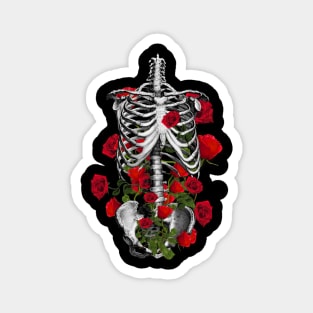 human anatomy rib cage Magnet