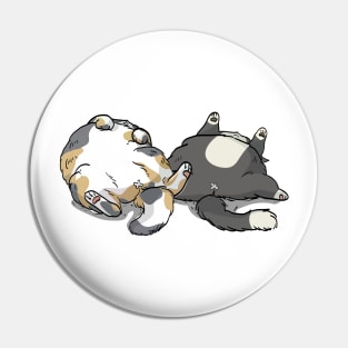 Sleeping Cats Pin