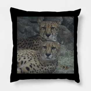 Cheetah Pillow