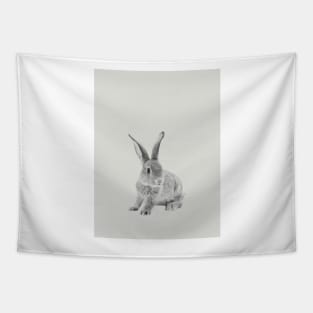 Rabbit 29 Tapestry