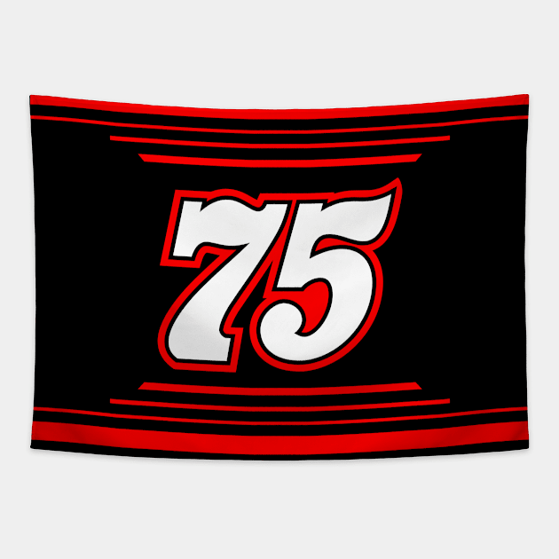 Stefan Parsons #75 2024 NASCAR Design Tapestry by AR Designs 