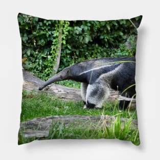 Anteater / Swiss Artwork Photography Pillow