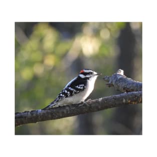 Downy woodpecker, wild birds, wildlife photography T-Shirt