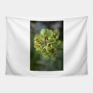 Extra green euphorbia Tapestry