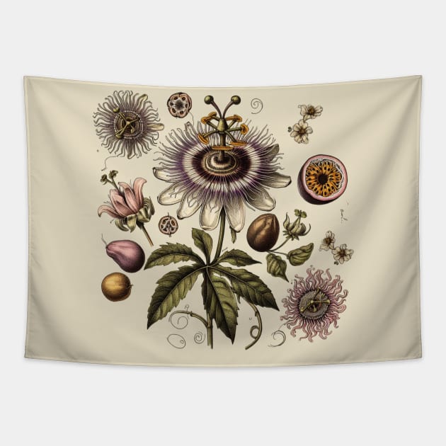 Vintage Passionflower Botanical Life circle Tapestry by Nancy 