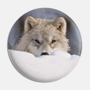 Arctic Wolf Pin