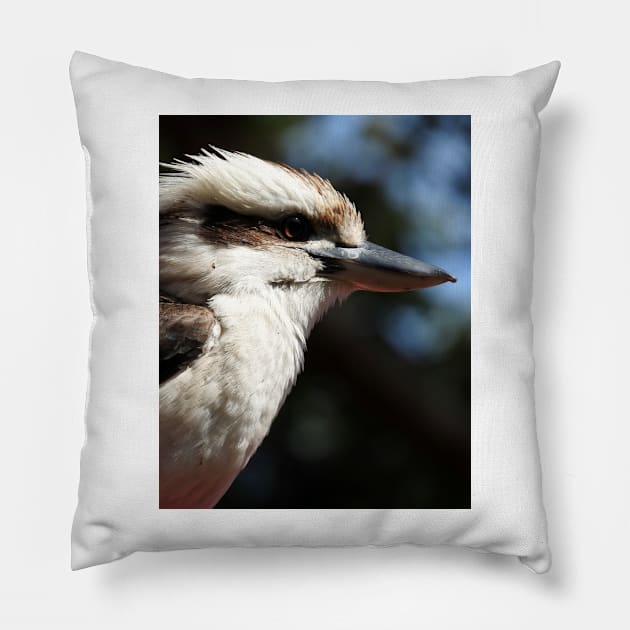 Kookaburra Pillow by kirstybush