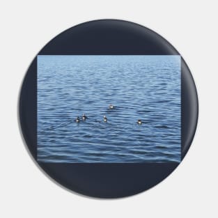 Ducks on the Water Surface Pin