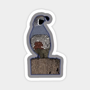 Quail Magnet