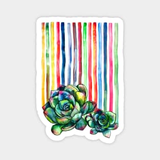 Rainbow Succulents Magnet